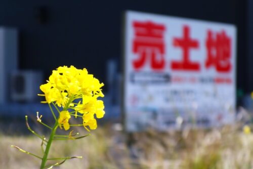 土地の売却をするのはどんな時？売れ残りを防ぐ方法や注意点を紹介