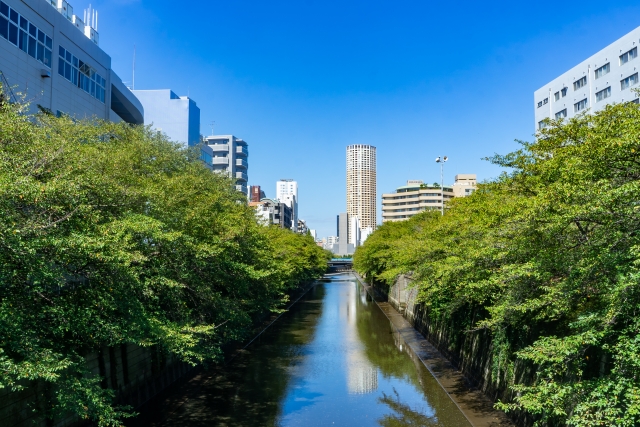 目黒川と周辺のビル