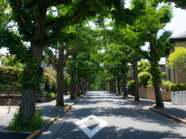 田園調布の町並み