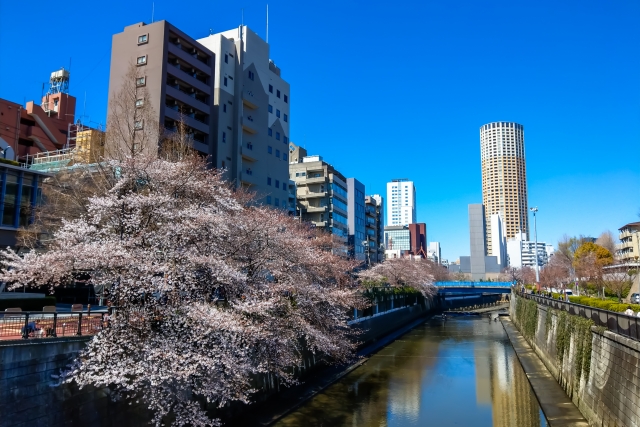 中目黒の風景